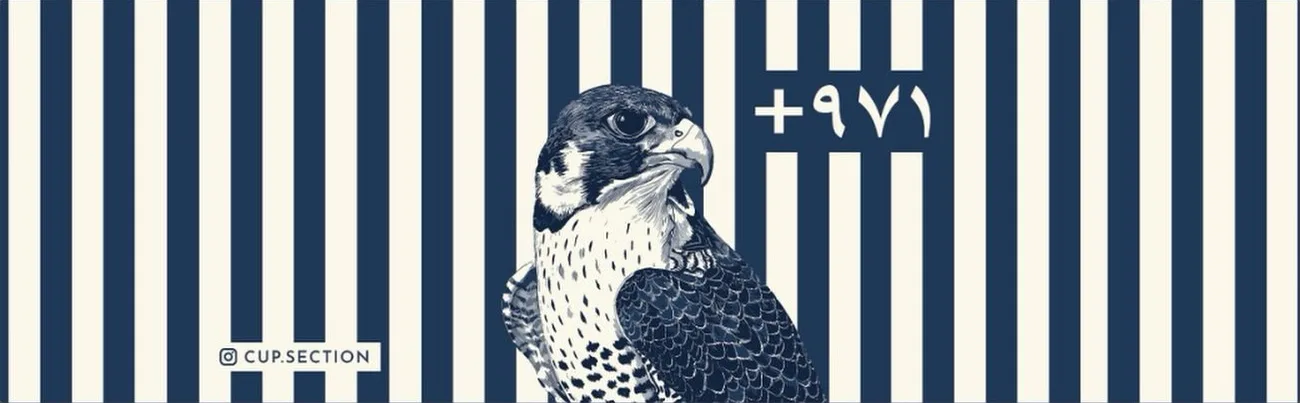 Flat print of the falcon design: navy and cream stripes, a falcon and +971 in Arabic numerals.
